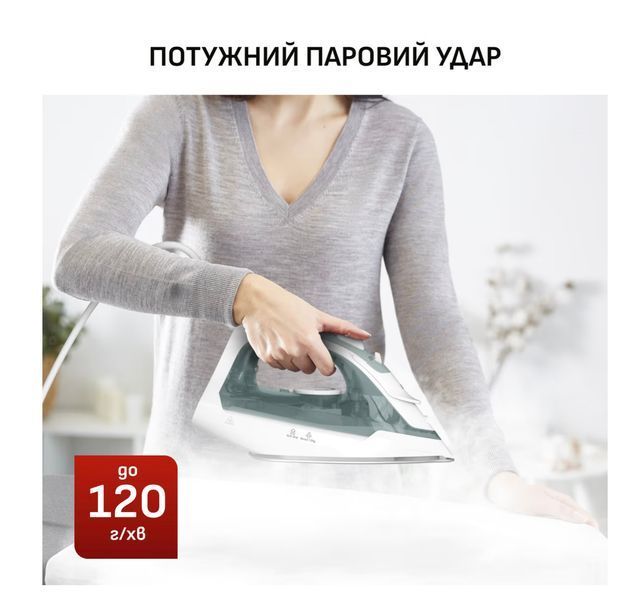 Праска Tefal FV2C42E0 FV2C42E0 фото